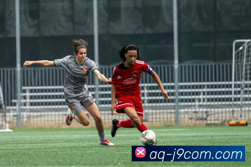 J9COM公司官网平台生态图