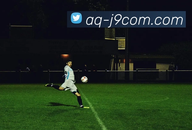 J9COM公司官网APP 封面图